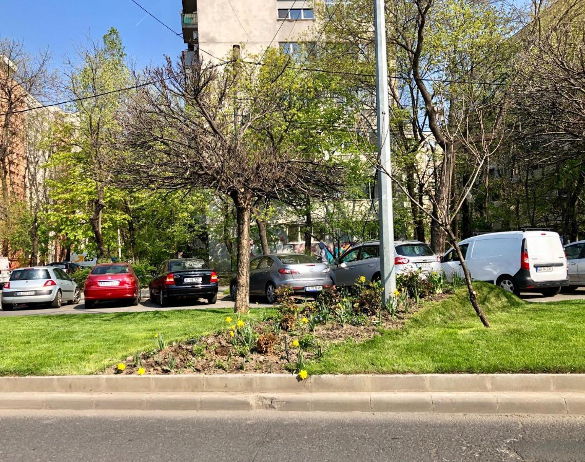 Cozy And Clean Apartment, Near National Arena Bucarest Extérieur photo